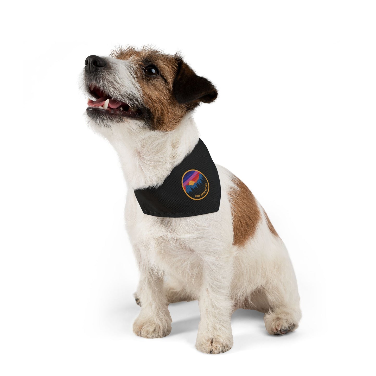 Dog Bandana with Collar