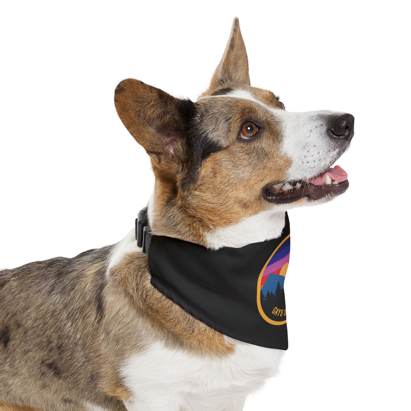 Dog Bandana with Collar